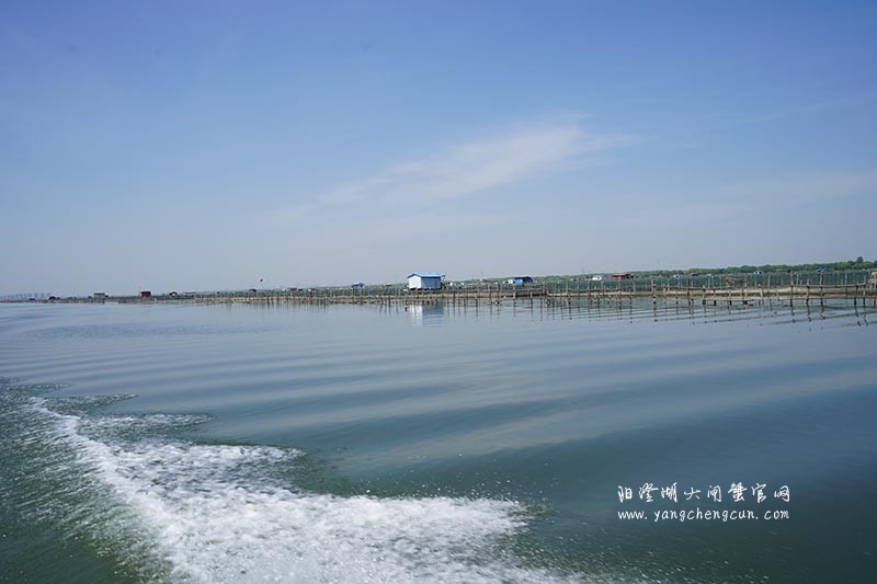 飞驰在阳澄湖上的风景