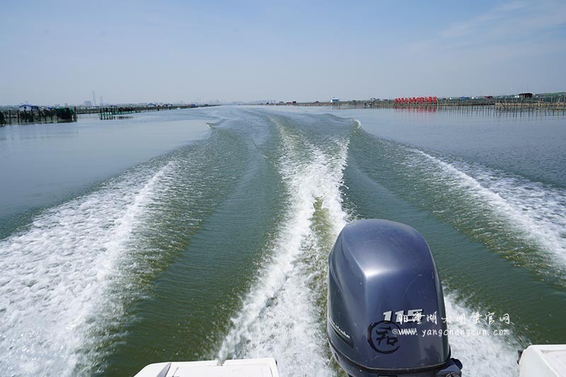 飞驰在阳澄湖上的风景