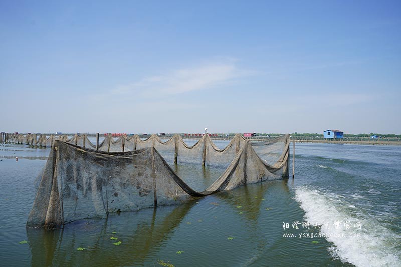 飞驰在阳澄湖上的风景
