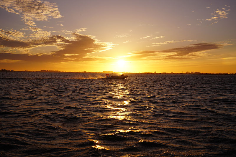 早行的阳澄湖蟹农