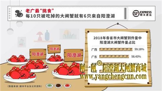 老广最会吃！吃蟹五成中有三成来自阳澄湖