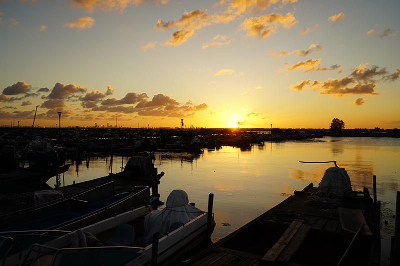 余晖里的湖乡歌——阳澄湖日落遐思