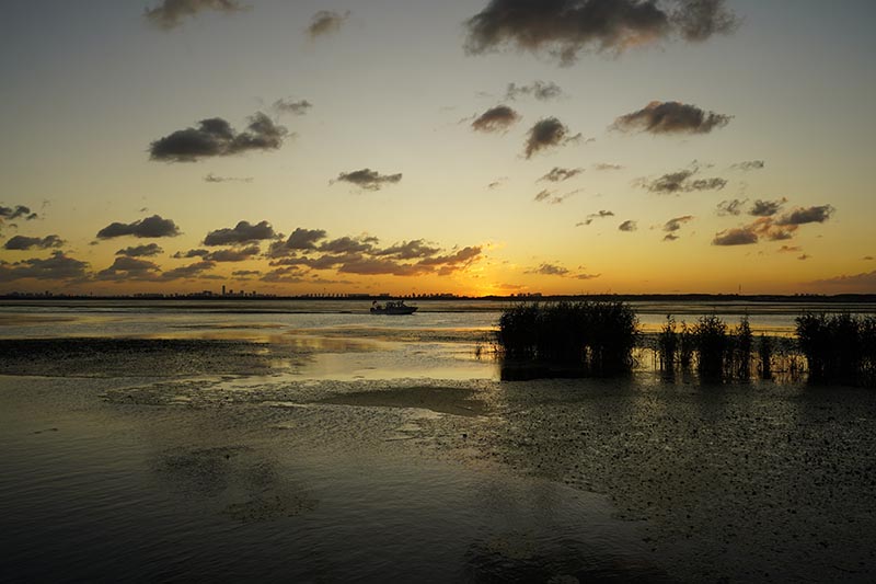 余晖里的湖乡歌——阳澄湖日落遐思