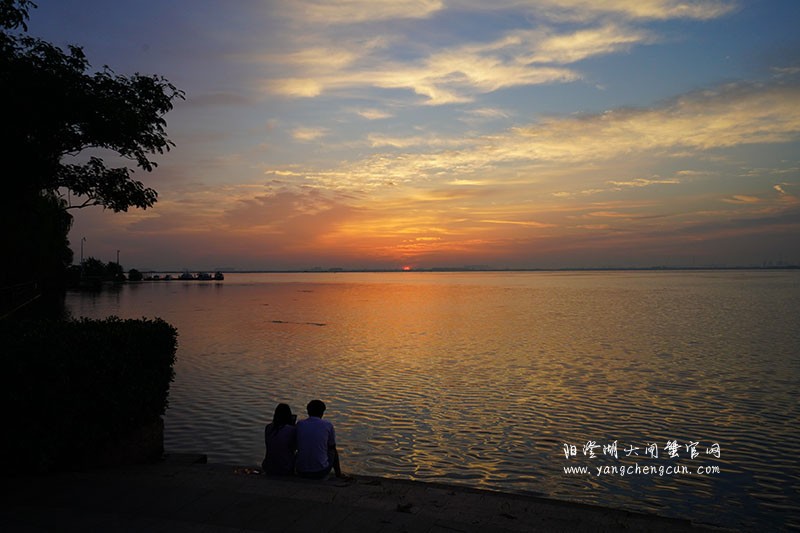 晨曦初升，阳澄湖畔的美丽相遇
