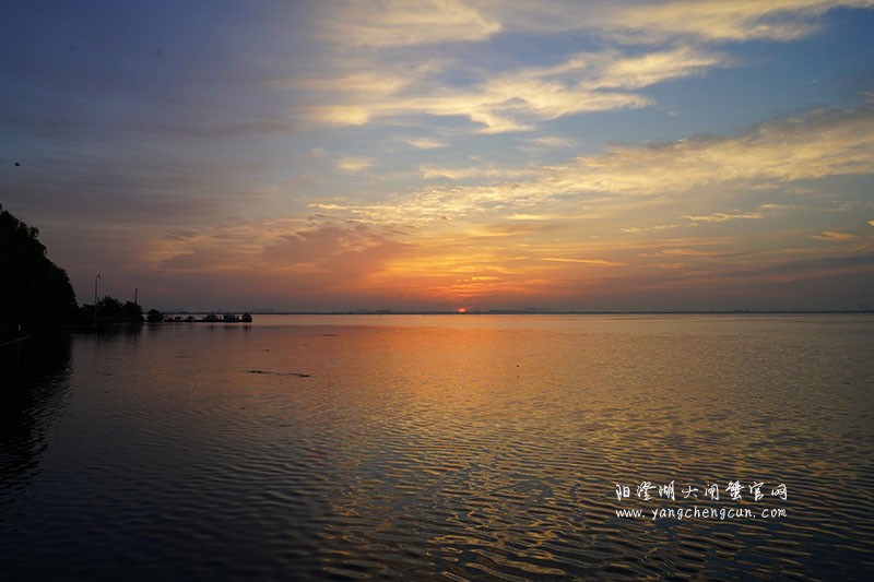 晨曦初升，阳澄湖畔的美丽相遇