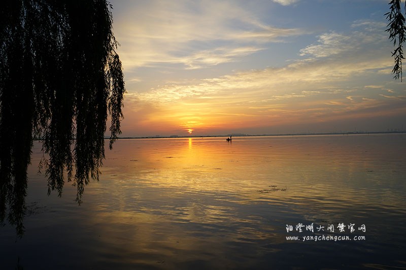 晨曦初升，阳澄湖畔的美丽相遇