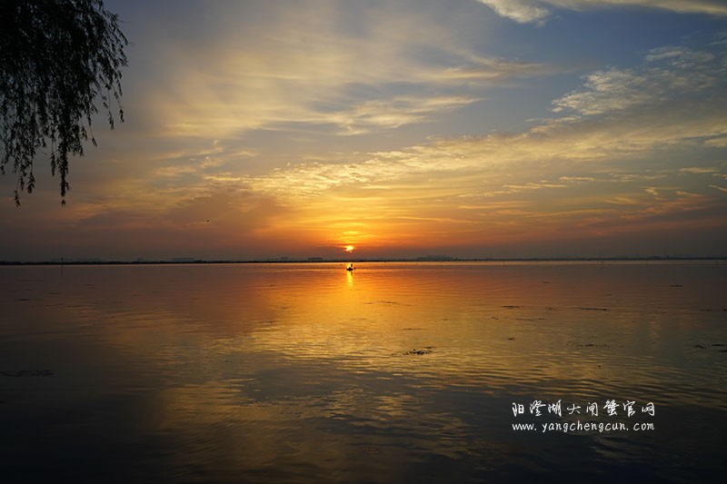 晨曦初升，阳澄湖畔的美丽相遇