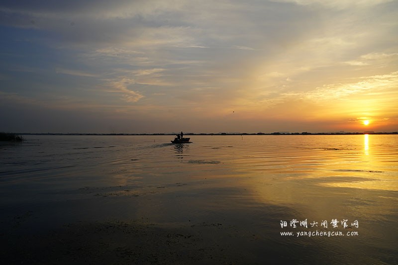 晨曦初升，阳澄湖畔的美丽相遇