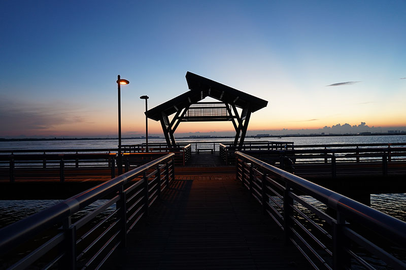 湖畔自行车道上的别样风情