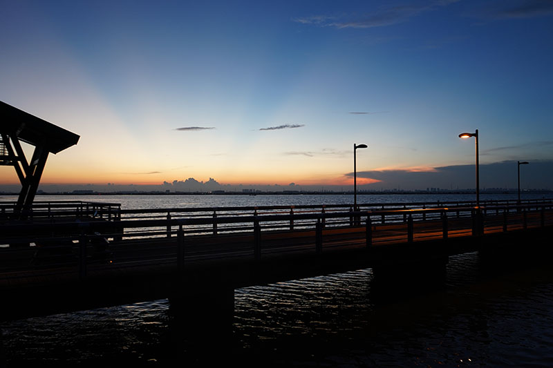 湖畔自行车道上的别样风情