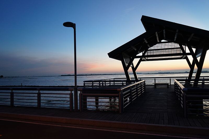 湖畔自行车道上的别样风情