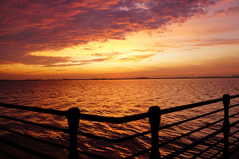 阳澄湖晨曦：一场日出的盛宴