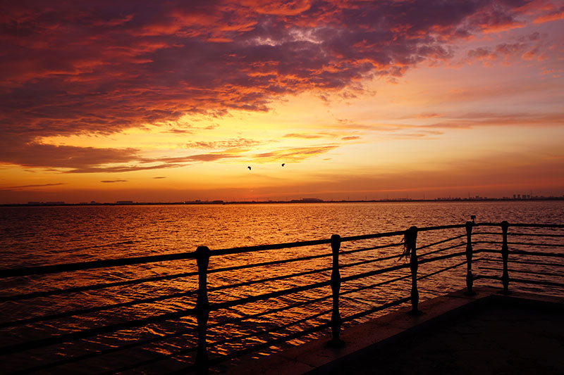 阳澄湖晨曦：一场日出的盛宴