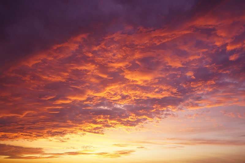 阳澄湖晨曦：一场日出的盛宴