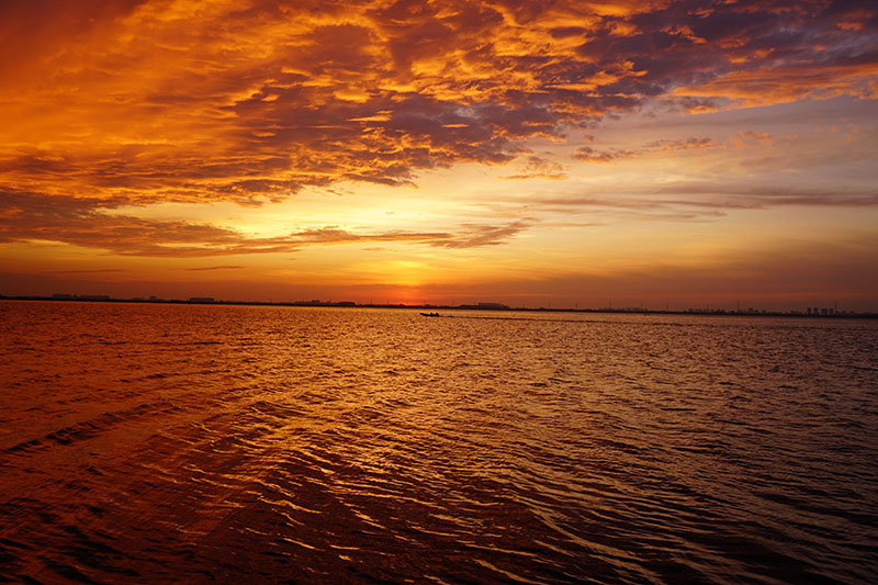 阳澄湖晨曦：一场日出的盛宴