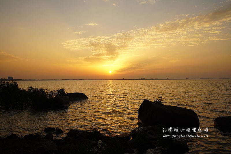 阳澄湖生态湿地看日落