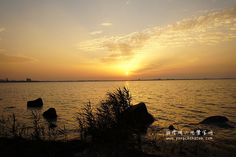 阳澄湖生态湿地看日落