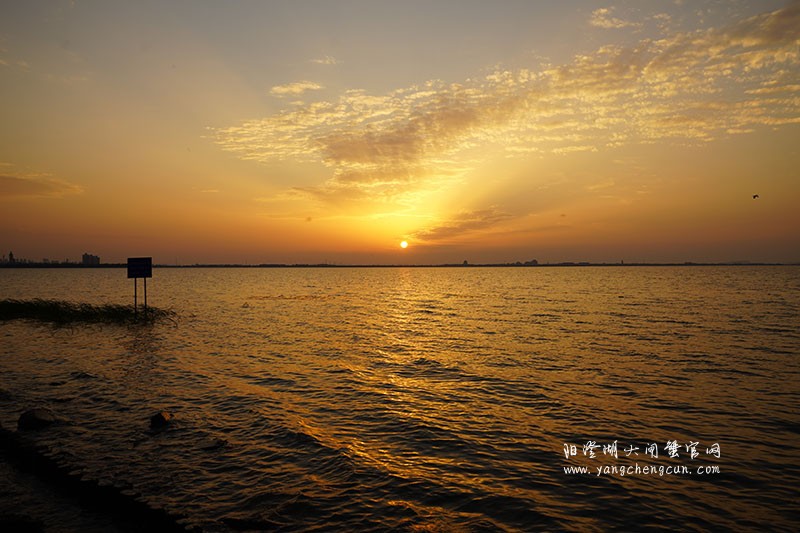 阳澄湖生态湿地看日落
