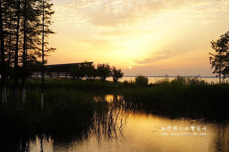 阳澄湖生态湿地看日落
