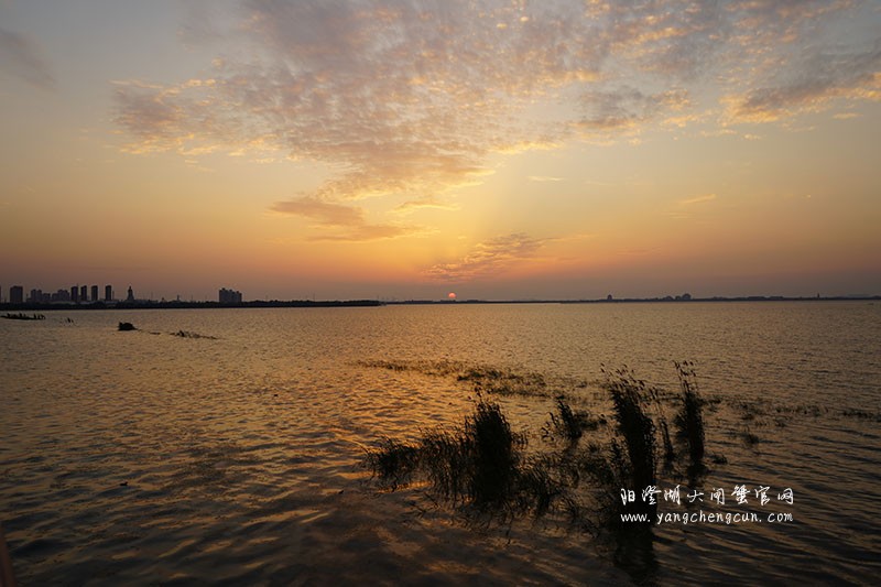 阳澄湖生态湿地看日落
