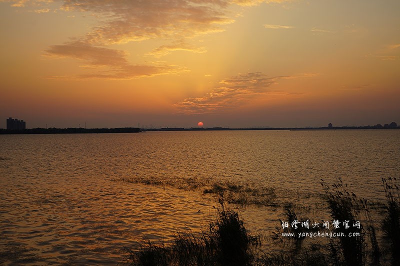 阳澄湖生态湿地看日落