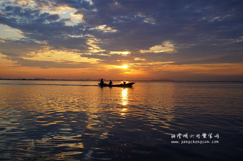 阳澄湖与我：宿命的纽带