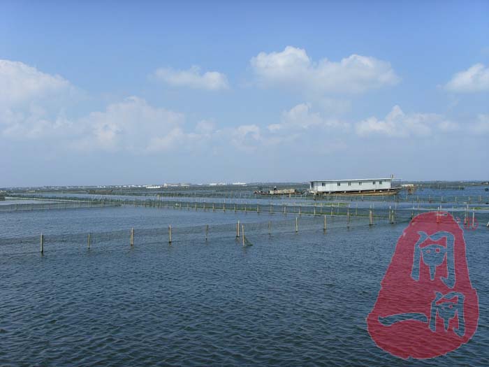 阳澄湖的风景-蓝天白云