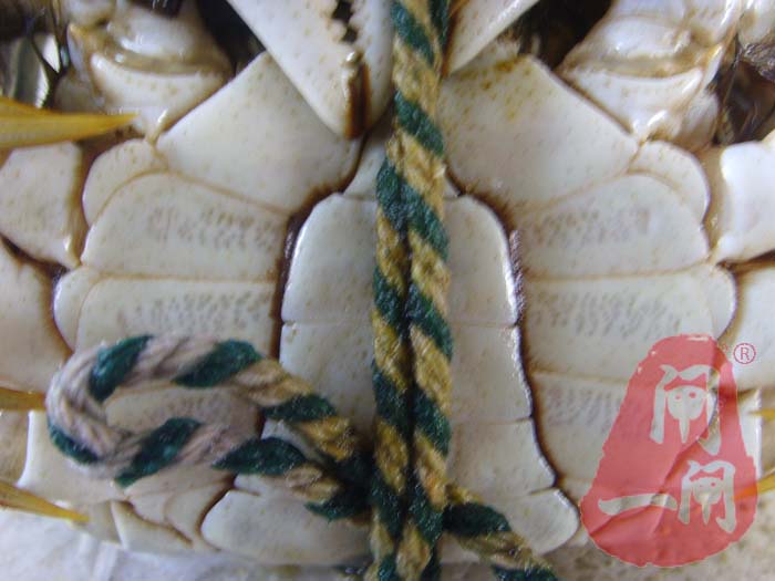 阳澄湖大闸蟹公母对比