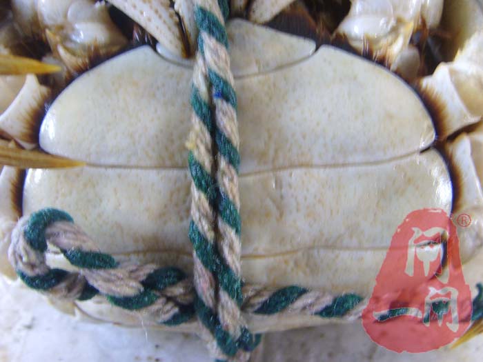 阳澄湖大闸蟹公母对比