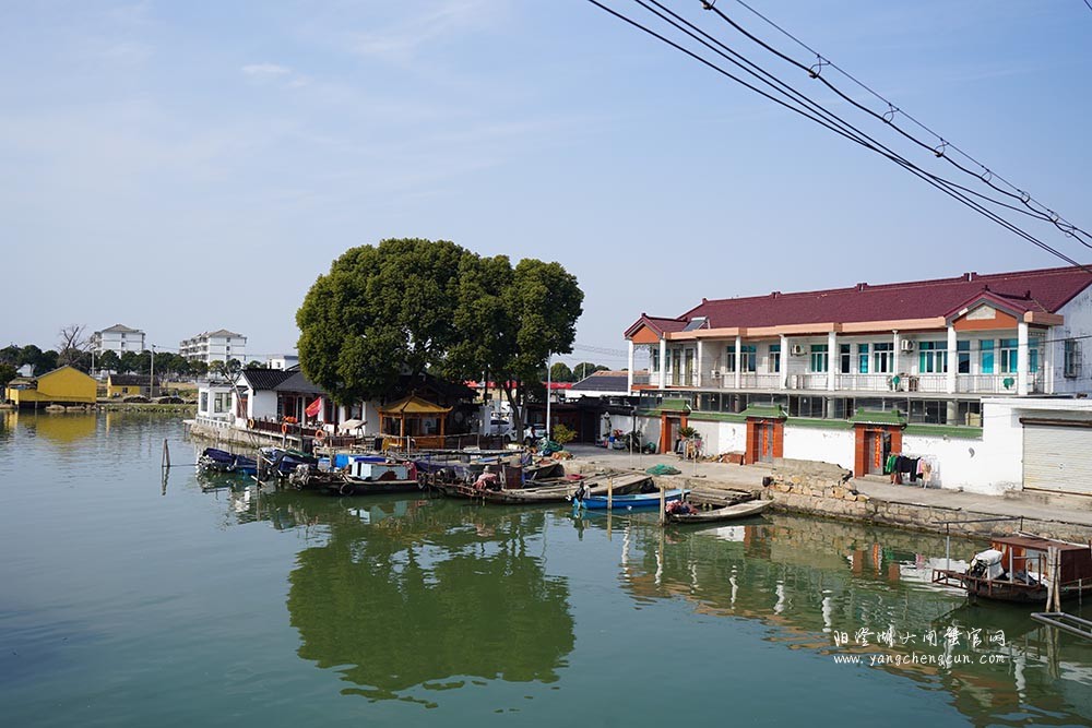 阳澄湖镇沺泾老街