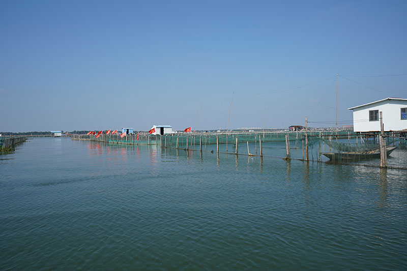 阳澄湖大闸蟹养殖基地