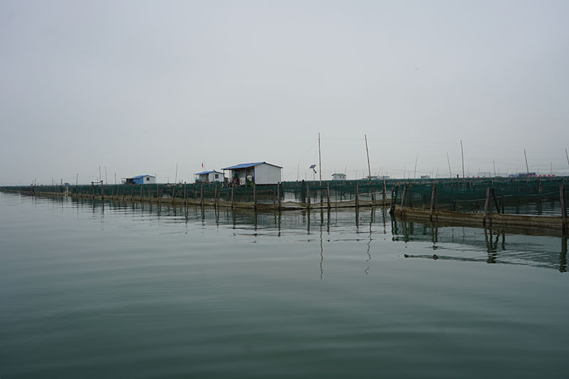 阳澄湖大闸蟹围网