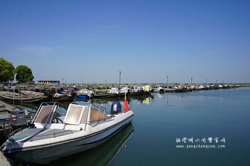 阳澄湖蟹农码头