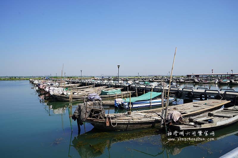 阳澄湖蟹农码头