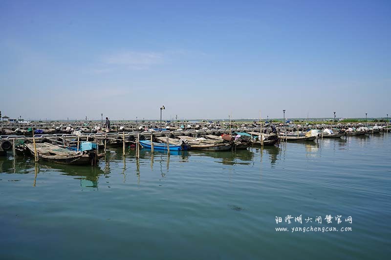 阳澄湖蟹农码头