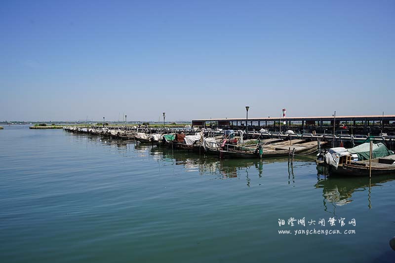 阳澄湖蟹农码头