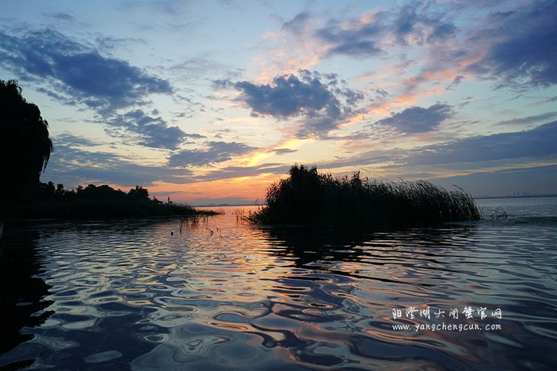 晨曦初升，阳澄湖的日出美景