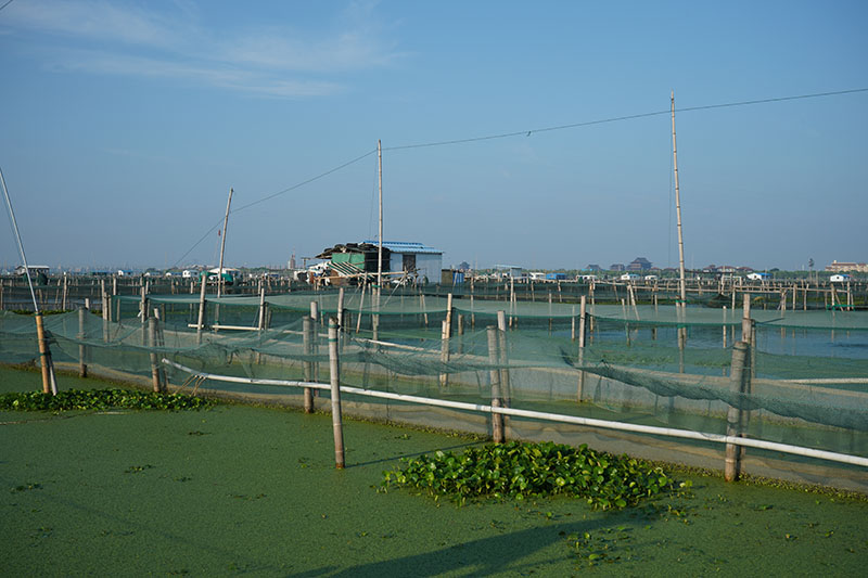 阳澄湖上的晨光