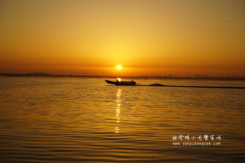 阳澄湖晨曦