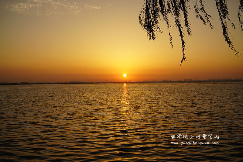 阳澄湖晨曦