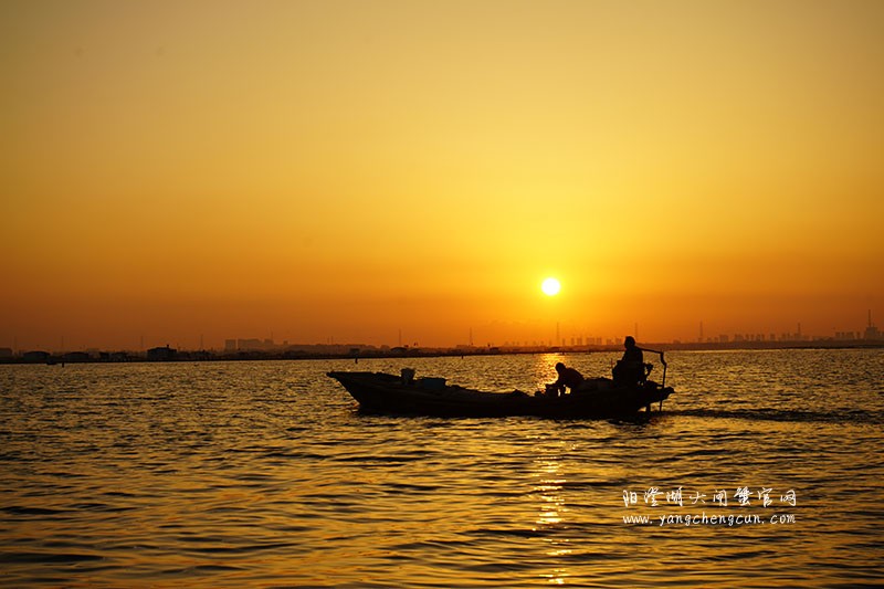 阳澄湖晨曦