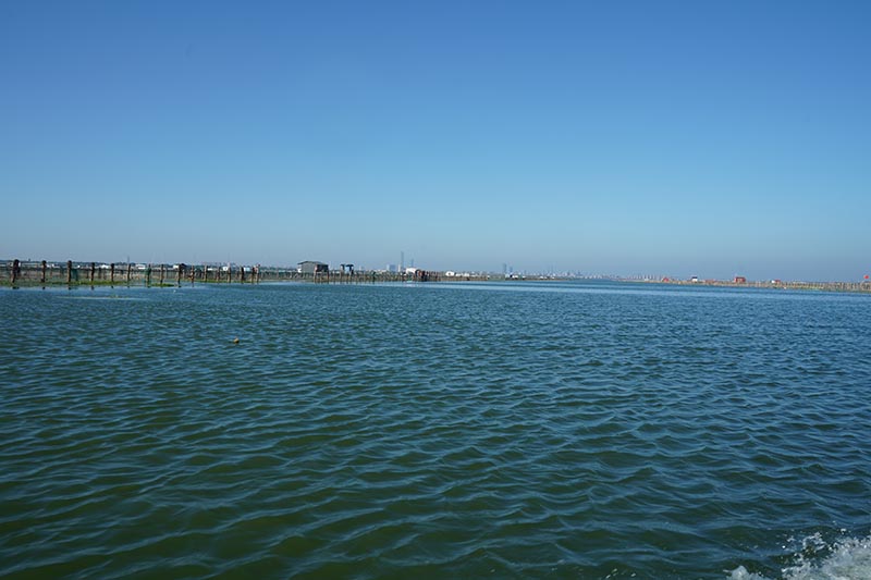  碧水晨光映蟹乡——阳澄湖围网区的清晨风光