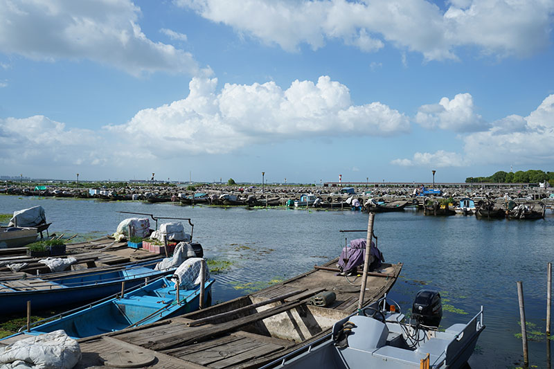 云卷云舒阳澄湖蟹农码头