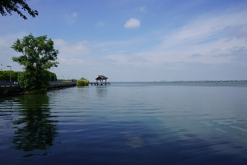 阳澄湖