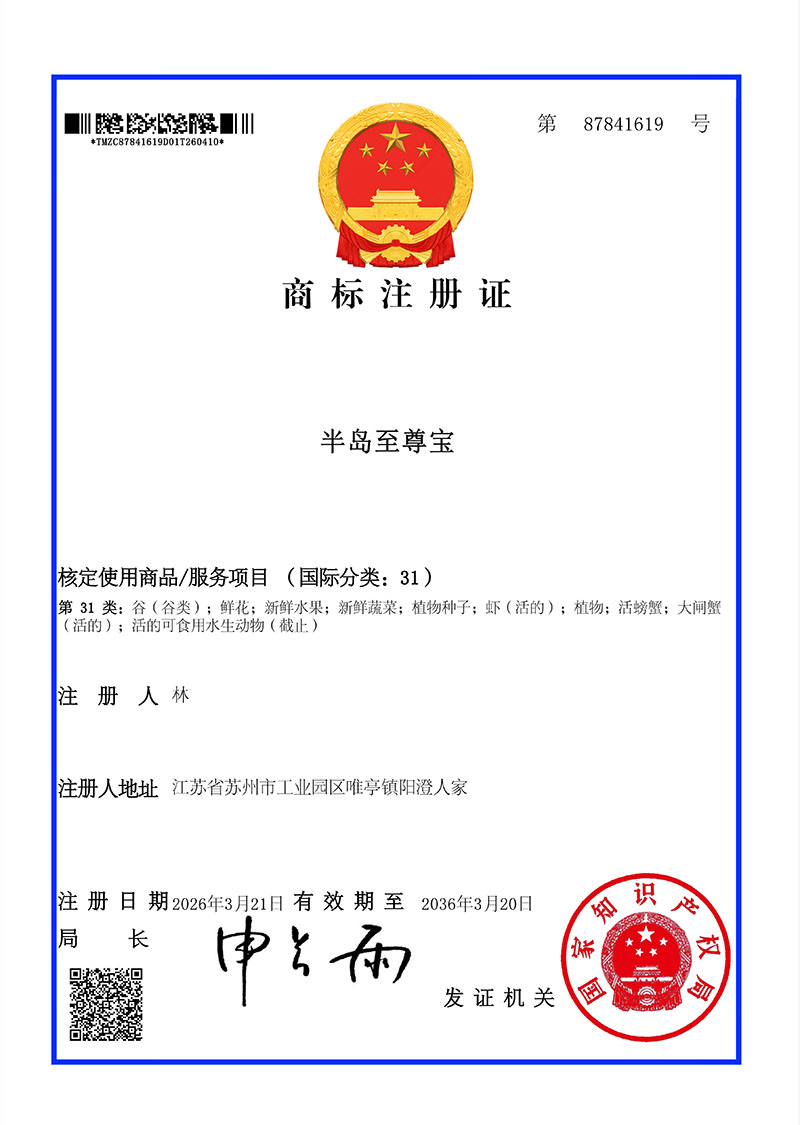 半岛至尊宝