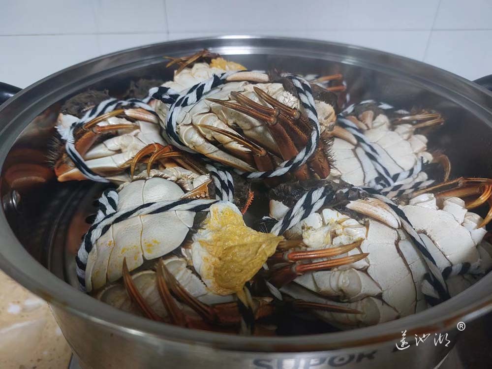 阳澄湖大闸蟹
