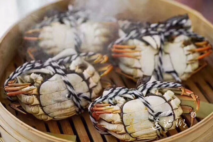 阳澄湖大闸蟹