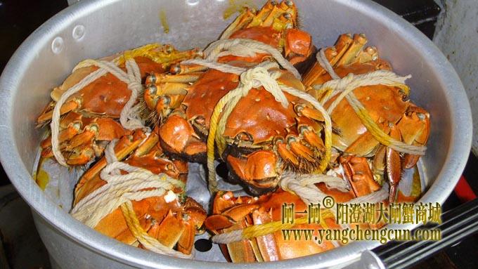 阳澄湖大闸蟹