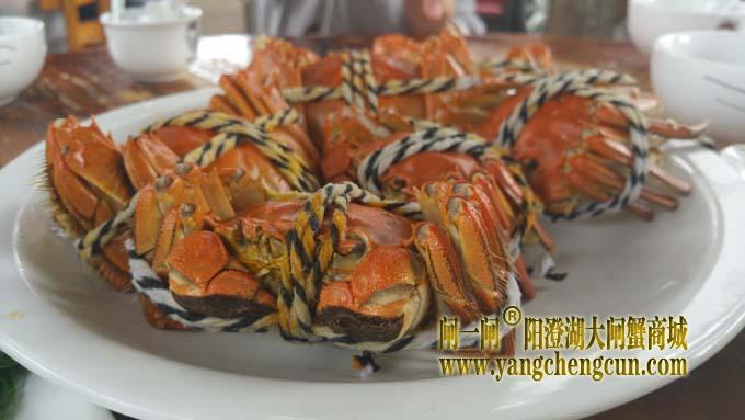阳澄湖大闸蟹
