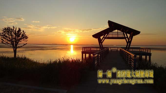 阳澄湖半岛的清晨